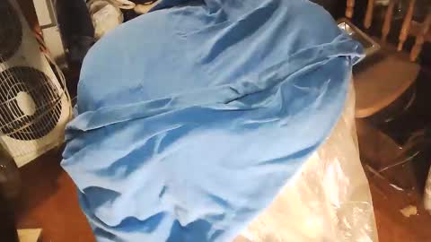 wildman6 online show from 01/10/26, 08:43