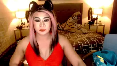 wildtransjhade online show from 01/06/25, 09:30