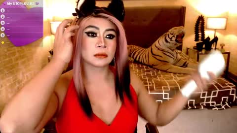 wildtransjhade online show from 01/11/25, 02:15