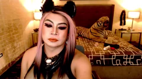 wildtransjhade online show from 01/16/25, 12:53