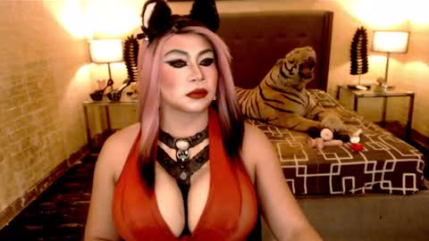 wildtransjhade online show from 01/18/25, 06:32