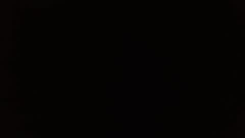 wildwills online show from 04/14/26, 06:14