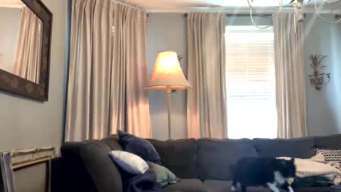 willbeatit online show from 04/18/26, 05:28