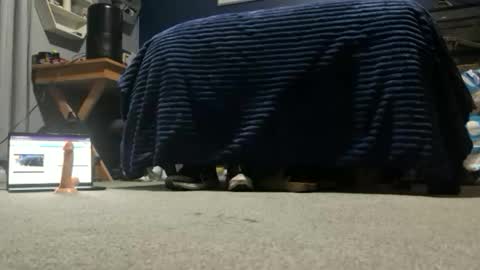 williambisexual online show from 12/22/25, 12:40