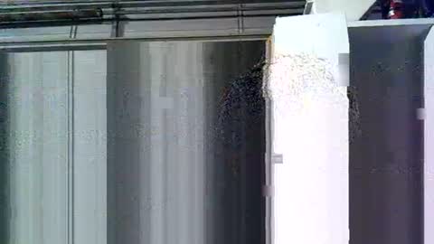 willielowrider online show from 03/10/26, 08:41