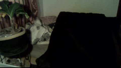 Call me Babe online show from 12/18/24, 03:11