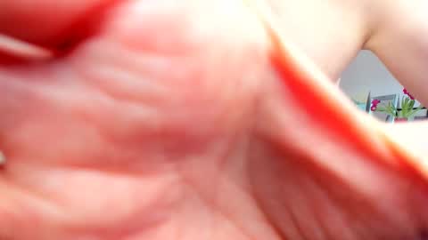 Wilhelmina better Willy online show from 02/20/25, 09:55