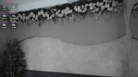 Ms Willow online show from 12/29/24, 12:01