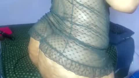 wilmaassylum online show from 11/10/25, 04:22