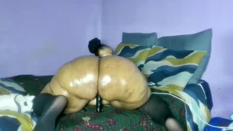 wilmaassylum online show from 02/20/26, 06:59