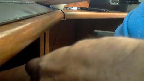 Wineman88886 online show from 06/20/26, 07:16