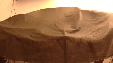 Mater online show from 01/22/25, 04:02