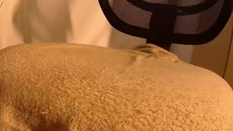 Mater online show from 11/14/25, 05:44