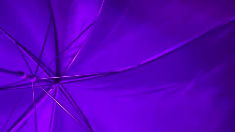 Wiz and Candy online show from 01/08/25, 05:16