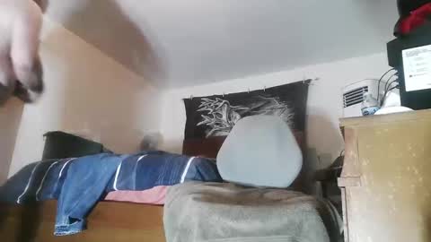 wolfman79 online show from 03/24/26, 10:42