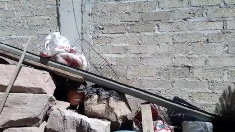 WolvyGalan online show from 01/20/25, 07:04