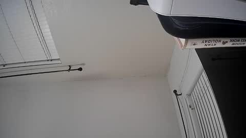 WoodCouldShould86 online show from 01/15/26, 08:41