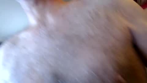 Snapshot of woodiesays chatting on 01/17/26, 04:33 WoodieSays online show from 01/17/26, 04:33