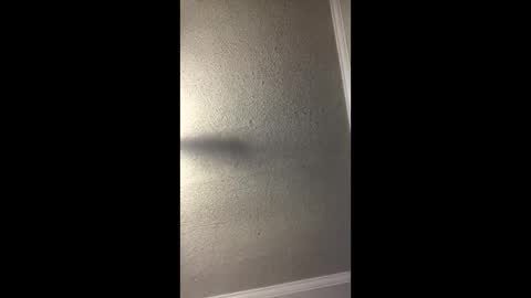 Woodpipe69 online show from 12/23/24, 03:01