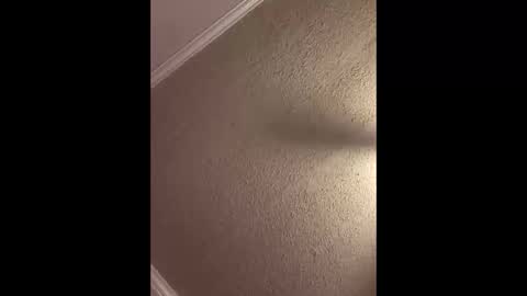 Woodpipe69 online show from 10/03/25, 02:47