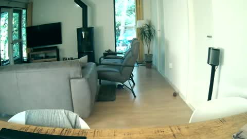 Snapshot of woodwurm chatting on 06/19/26, 05:34 woodwurm and Snoeske online show from 06/19/26, 05:34