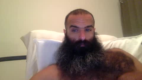 woof_wolf37 online show from 02/28/26, 05:41