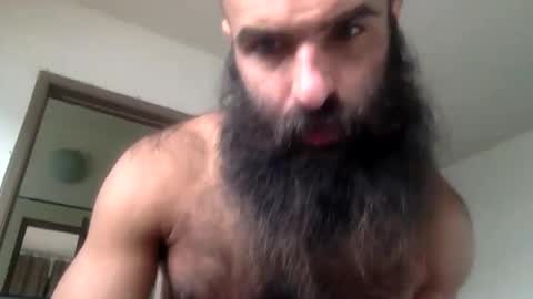 woof_wolf37 online show from 04/16/26, 04:19