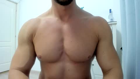 Wolfie online show from 11/11/25, 09:26