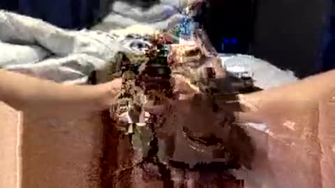 Snapshot of workplace_proximity_associate chatting on 09/28/25, 12:10 workplace_proximity_associate online show from 09/28/25, 12:10