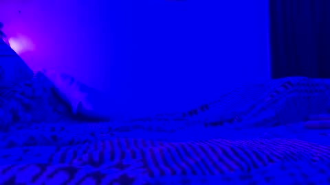 wowsers7 online show from 11/07/25, 08:03