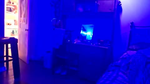 wowsers7 online show from 11/16/25, 01:11