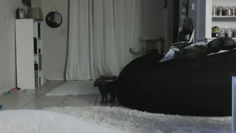 Crystal Lake online show from 01/05/25, 05:20