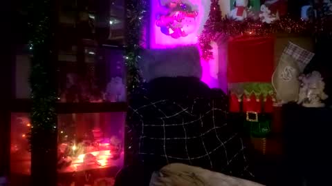 SCOOTER online show from 11/23/25, 06:19