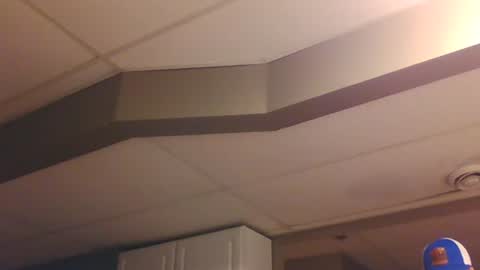 BONER DONOR online show from 01/07/25, 06:14