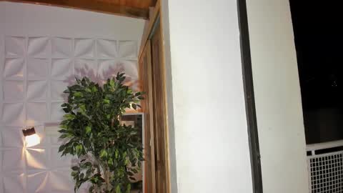 wyatt online show from 11/14/25, 03:27