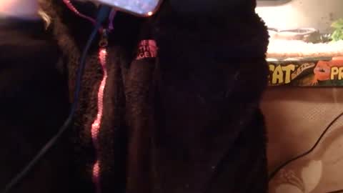 x2kayx2 online show from 01/10/26, 11:31