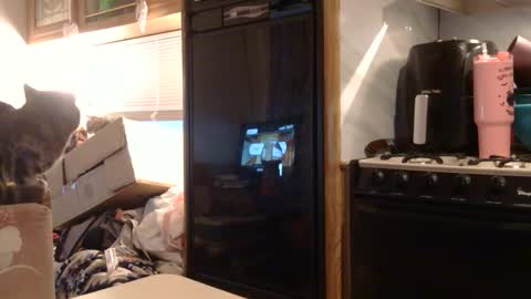 Snapshot of x2kayx2 chatting on 02/03/26, 01:05 x2kayx2 online show from 02/03/26, 01:05