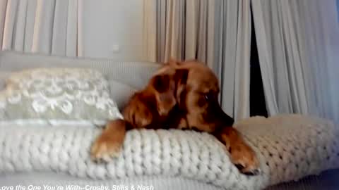 Lily online show from 02/21/25, 12:27