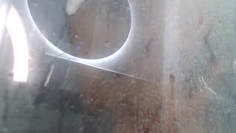 Andres online show from 02/03/25, 11:42