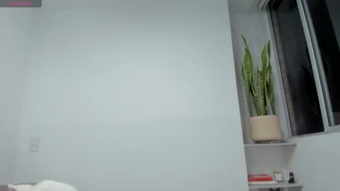 Xavier online show from 11/23/25, 12:54