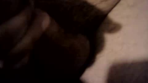 xdreamer online show from 03/17/26, 10:24