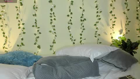    online show from 04/21/26, 09:28