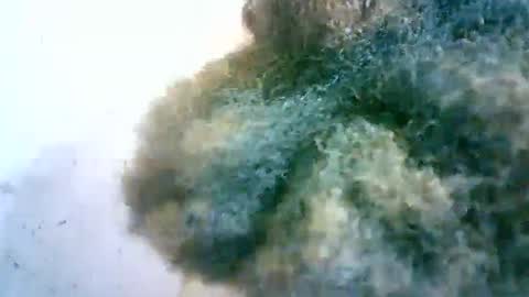 xenna610827 online show from 02/20/25, 06:50