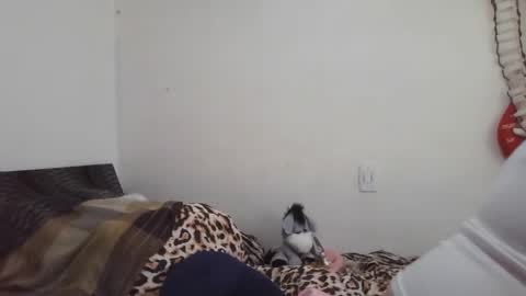 Ximena online show from 02/16/25, 09:16