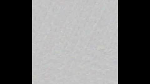 JSSD online show from 03/08/25, 09:50