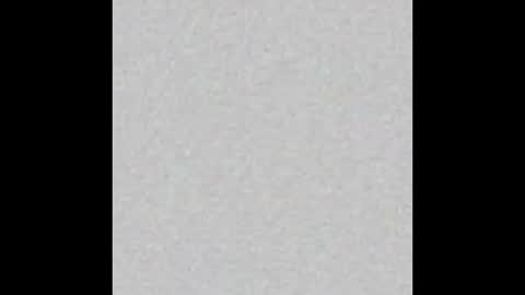 JSSD online show from 11/22/25, 07:13