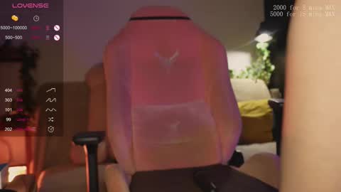    online show from 02/06/26, 11:41