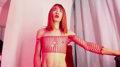 xmistresspervet online show from 12/17/25, 01:06