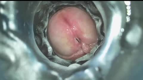 xoxowtf online show from 12/16/24, 07:43