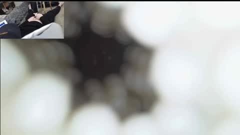 xoxowtf online show from 01/11/26, 06:57